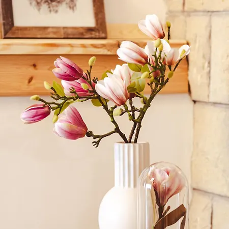 Vila Family House Rosa