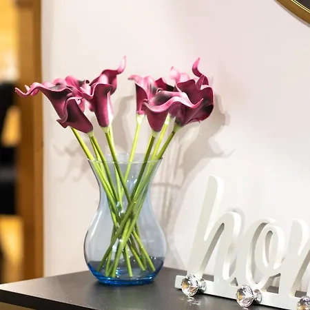 Villa Family House Rosa *