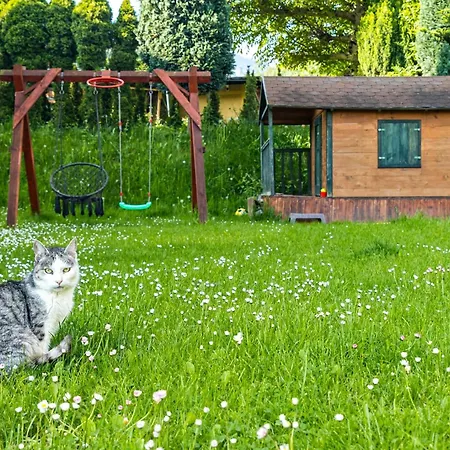 וילה Family House Rosa *